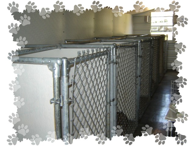 Kennel pics stall 1