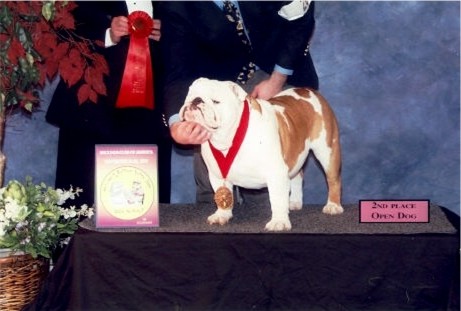 Rocky-BCA Nationals 2nd Place Open Dog02