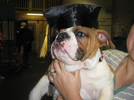 Hank graduationa