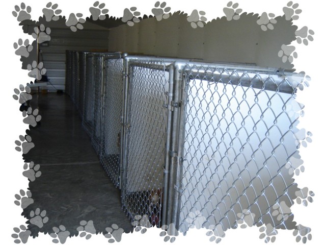 Kennel pics stalls