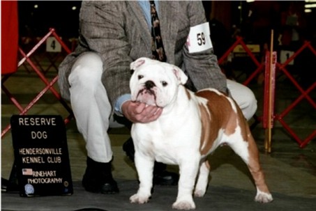 Rocky's First Reserve HKC-February 200302