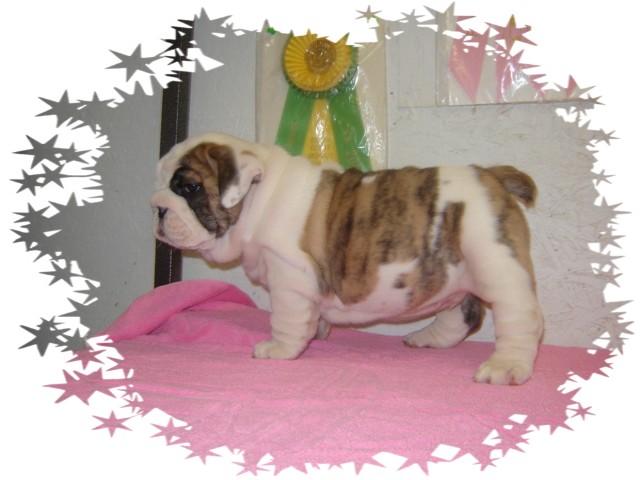 male 027a